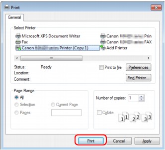 figure:Print dialog box